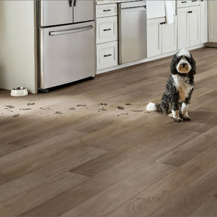 โครงการฝาผืนดิน 4mm 5mm PVC คลิกล็อค Spc Lvp โครงการฝาผืนดิน Vinyl Plank โครงการฝาผืนดิน Vinyl Luxury ด้วย IXPE