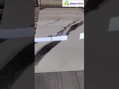 จัดการจอแผ่นมาร์มเบอร์ UV