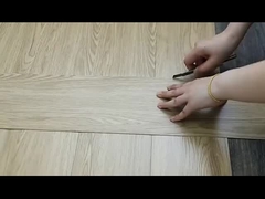 พื้นแอลวีที